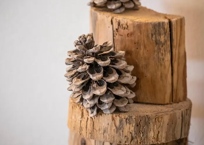 Corte Garibaldi 3* فيلتري